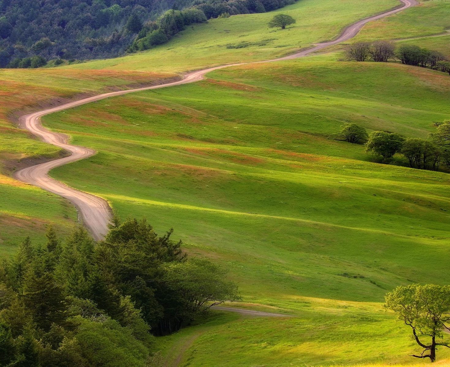 winding-road